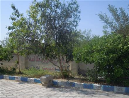 حیاط بیرونی کتابخانه